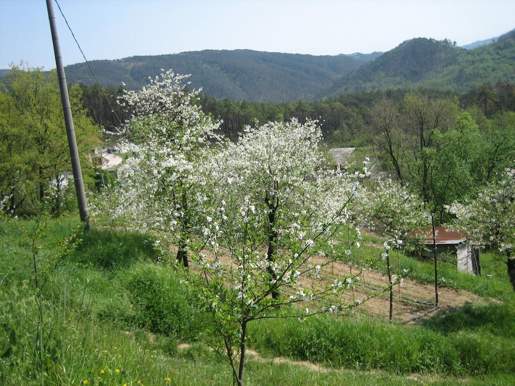 בוורינו Agriturismo Casalino מראה חיצוני תמונה