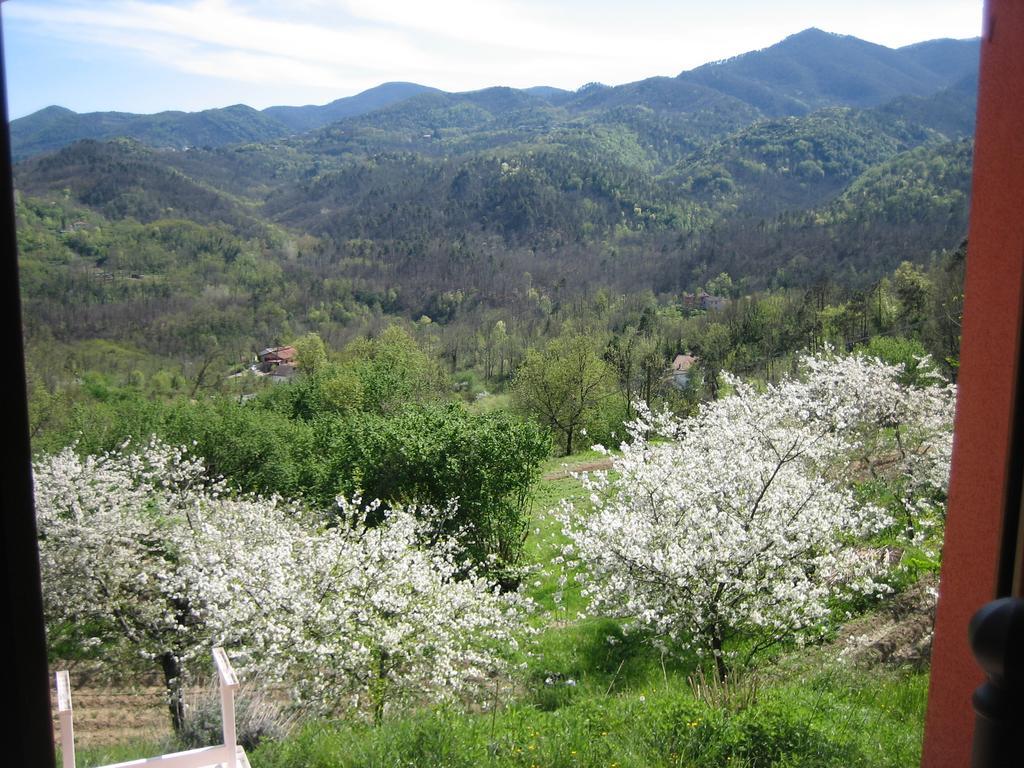 בוורינו Agriturismo Casalino מראה חיצוני תמונה