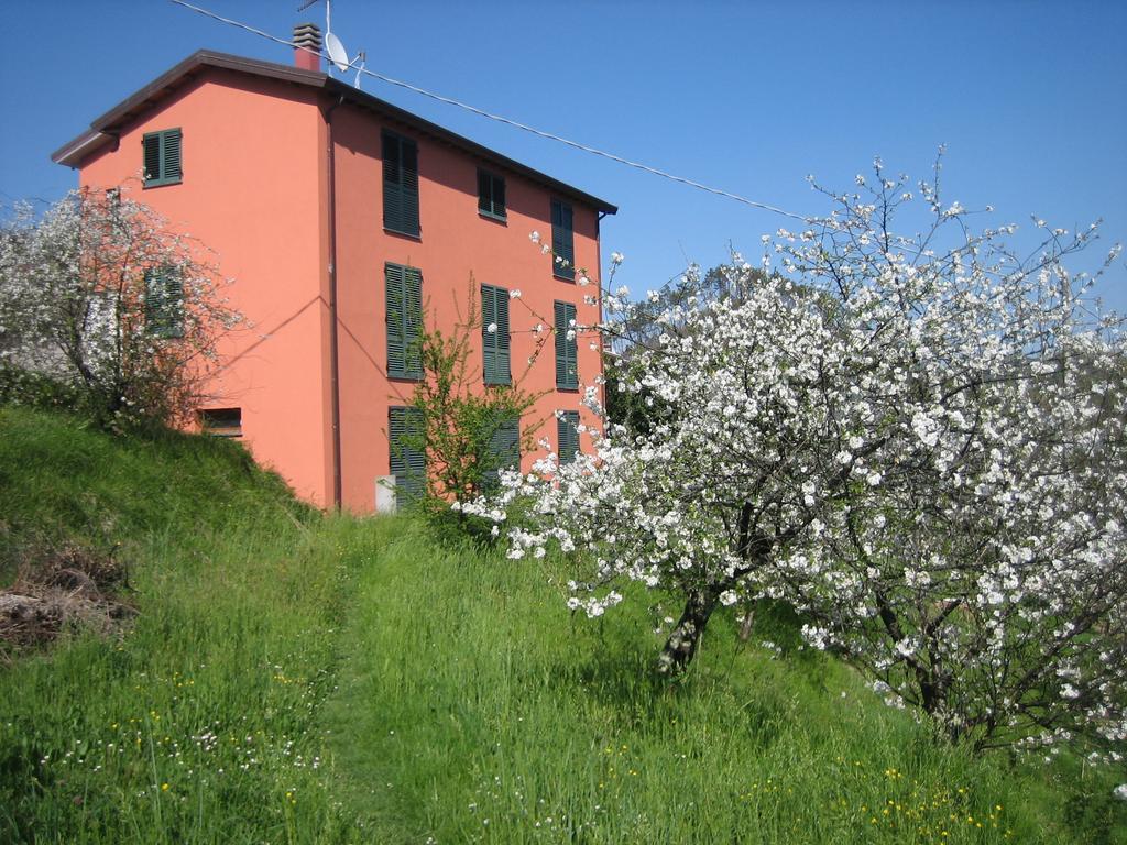 בוורינו Agriturismo Casalino מראה חיצוני תמונה